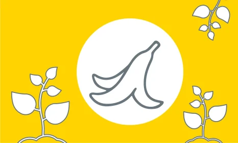 L&P_HA_HP_icon_bananaskin_2000_01